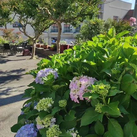 Casa D'avo Na Termas de Sao Pedro do Sul